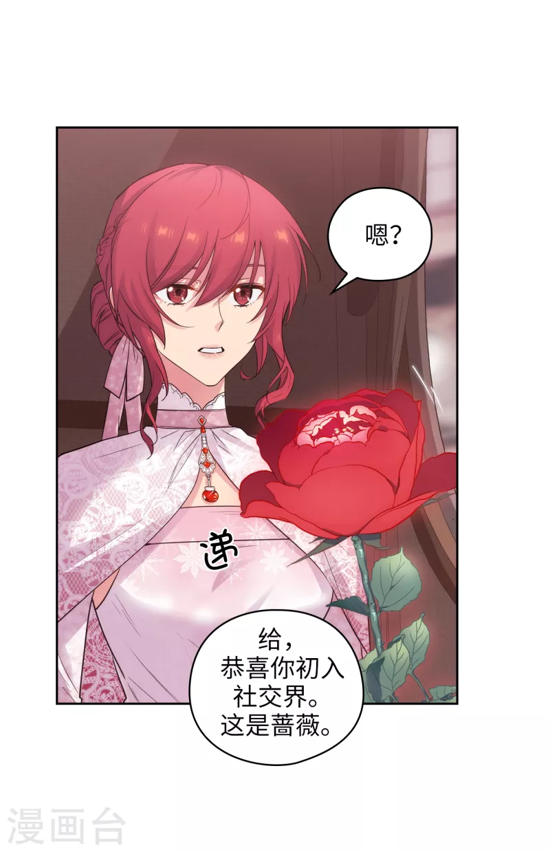 阿多尼斯韩漫全集-第336话 华丽的社交出道无删减无遮挡章节图片 