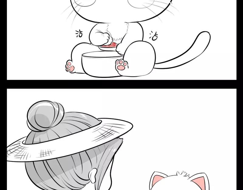 诶？捡到一个小僵尸（第2季）韩漫全集-番外 小猫妖无删减无遮挡章节图片 