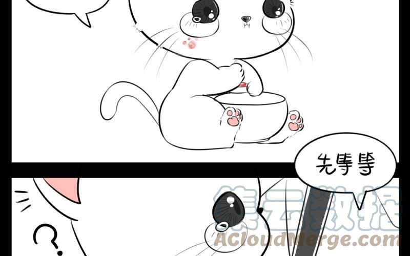 诶？捡到一个小僵尸 第二季韩漫全集-番外 小猫妖无删减无遮挡章节图片 
