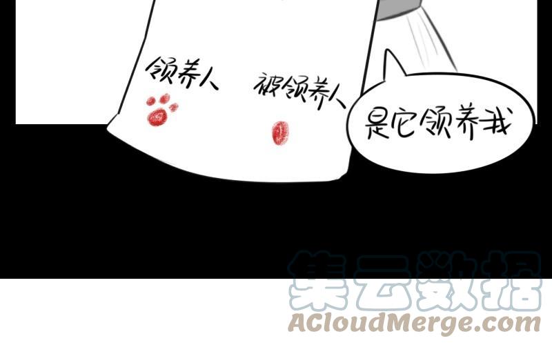 诶？捡到一个小僵尸 第二季韩漫全集-番外 小猫妖无删减无遮挡章节图片 