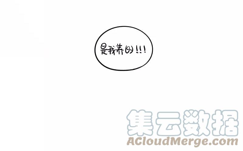 诶？捡到一个小僵尸 第二季韩漫全集-番外 圣诞节无删减无遮挡章节图片 