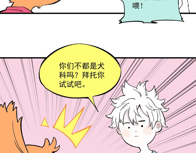 俺哥来自深山韩漫全集-第70话 两个阵营的奇葩无删减无遮挡章节图片 