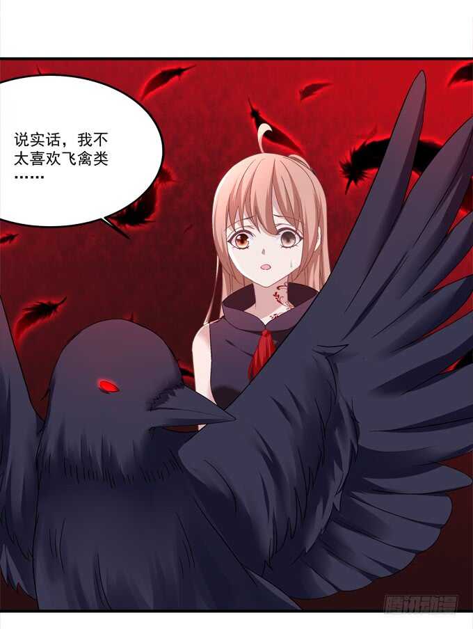 暗夜无常韩漫全集-第七十八话：震惊！沫沫竟当众抓鸟无删减无遮挡章节图片 