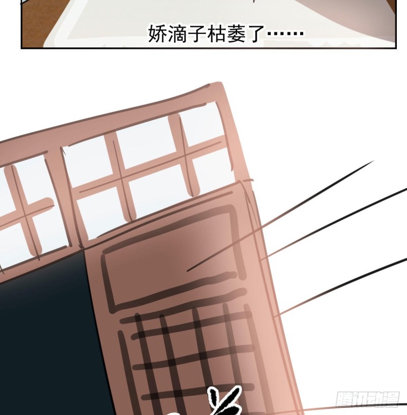 敖敖待捕韩漫全集-第116话 玄月走了无删减无遮挡章节图片 