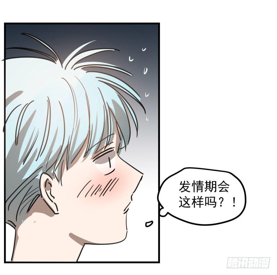 敖敖待捕韩漫全集-第十一话 目不转睛无删减无遮挡章节图片 