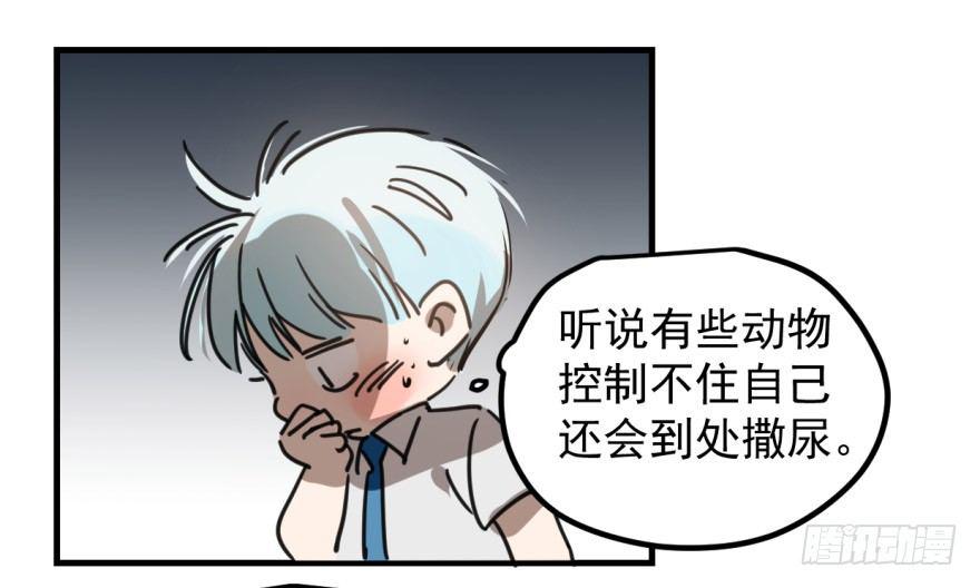 敖敖待捕韩漫全集-第十一话 目不转睛无删减无遮挡章节图片 