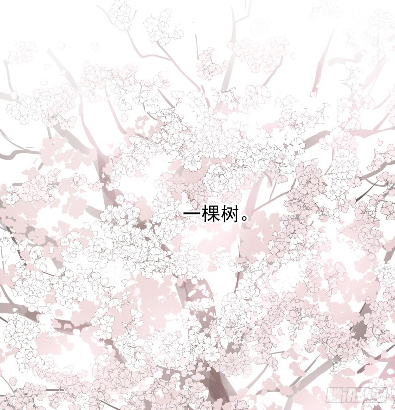敖敖待捕韩漫全集-第132话 枝落无声无删减无遮挡章节图片 