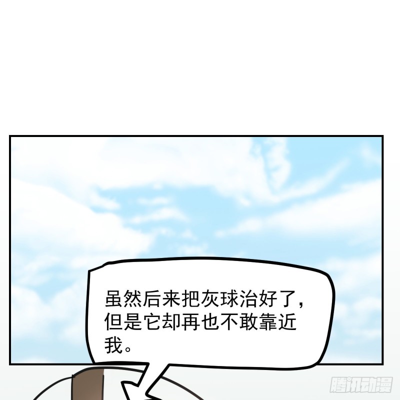 敖敖待捕韩漫全集-第136话 师父登场无删减无遮挡章节图片 