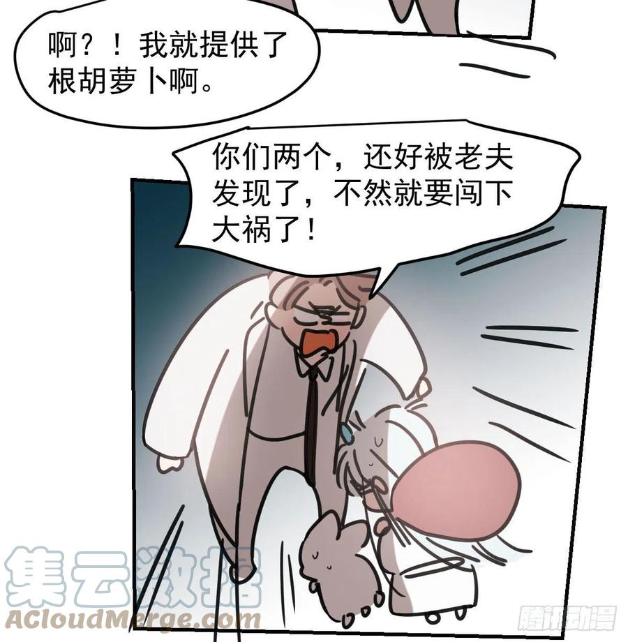 敖敖待捕韩漫全集-第151话 如有来生无删减无遮挡章节图片 