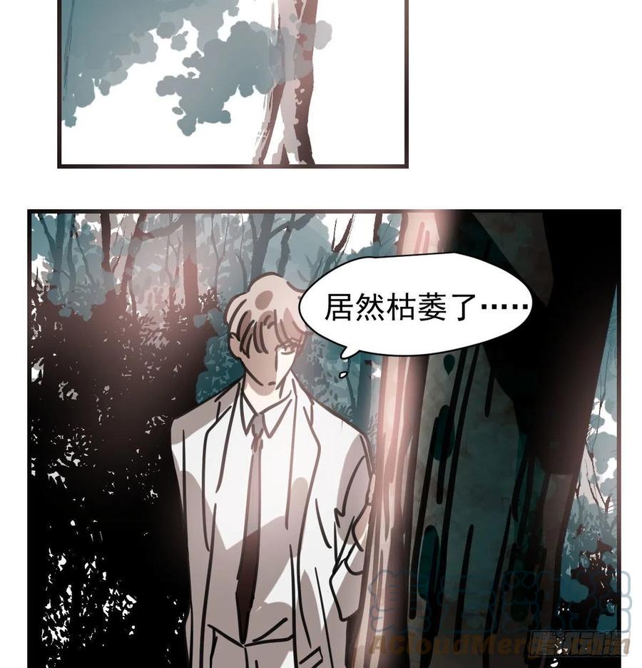 敖敖待捕韩漫全集-第158话 摘下面具无删减无遮挡章节图片 