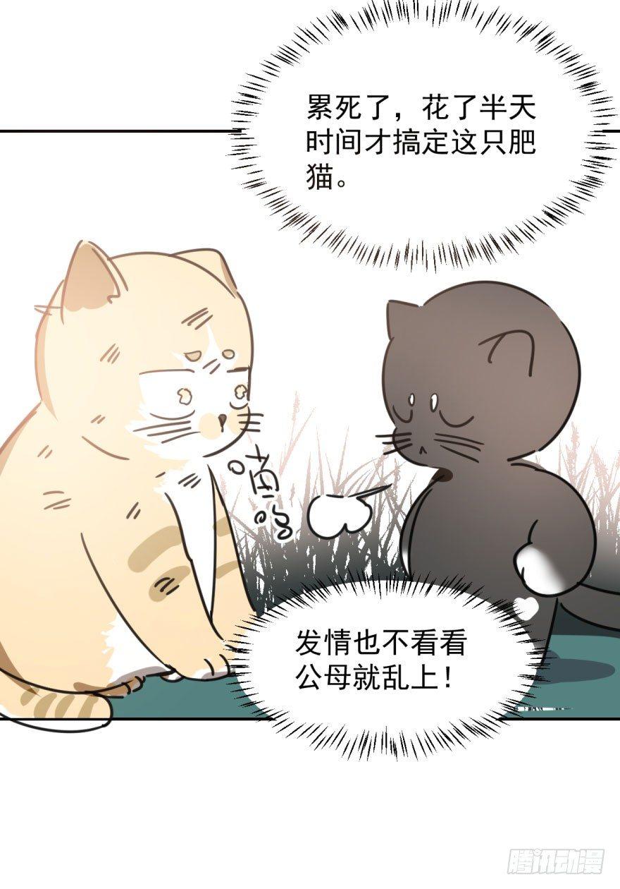 敖敖待捕韩漫全集-第二十五话 触碰逆鳞无删减无遮挡章节图片 