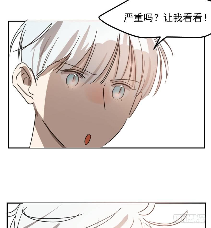 敖敖待捕韩漫全集-第四十二话 花卉养护无删减无遮挡章节图片 