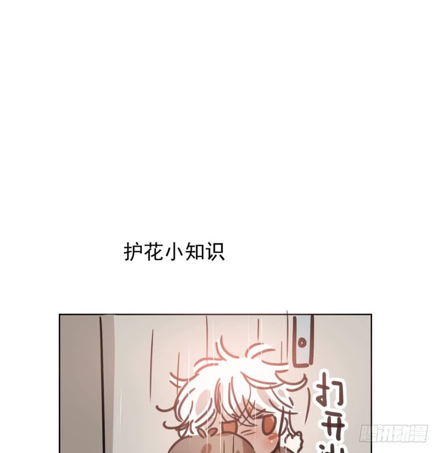 敖敖待捕韩漫全集-第四十三话 暗流涌动无删减无遮挡章节图片 