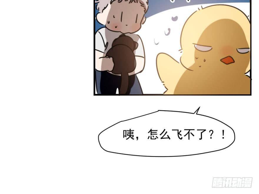 敖敖待捕韩漫全集-第五十三话 暗潮涌动无删减无遮挡章节图片 