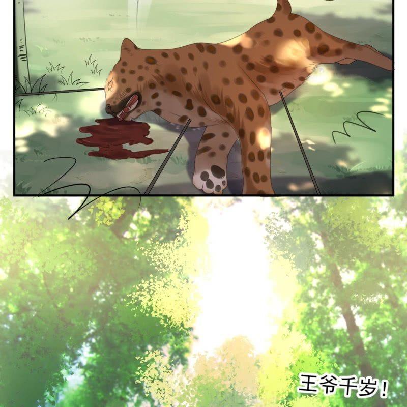 傲娇王爷太难追韩漫全集-第119话 暗箭难防无删减无遮挡章节图片 
