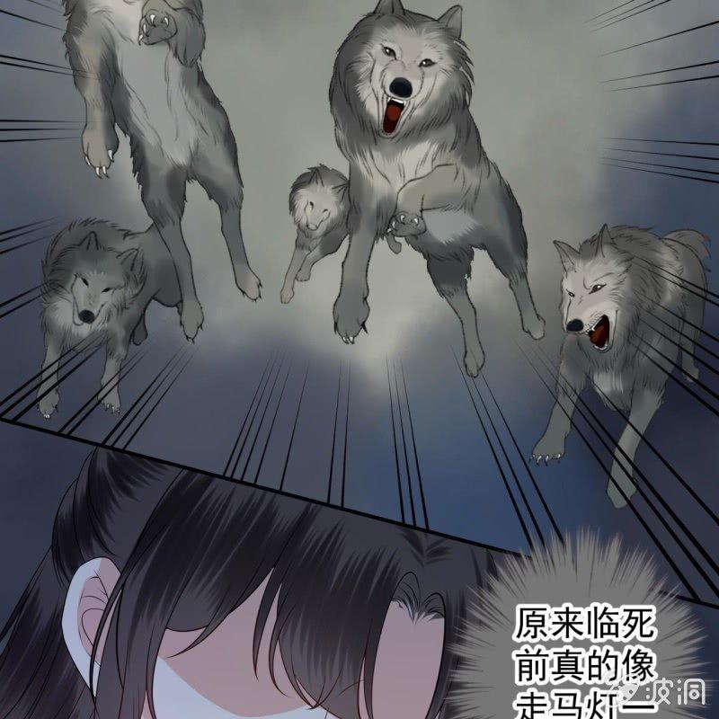 傲娇王爷太难追韩漫全集-第124话 狼来了无删减无遮挡章节图片 