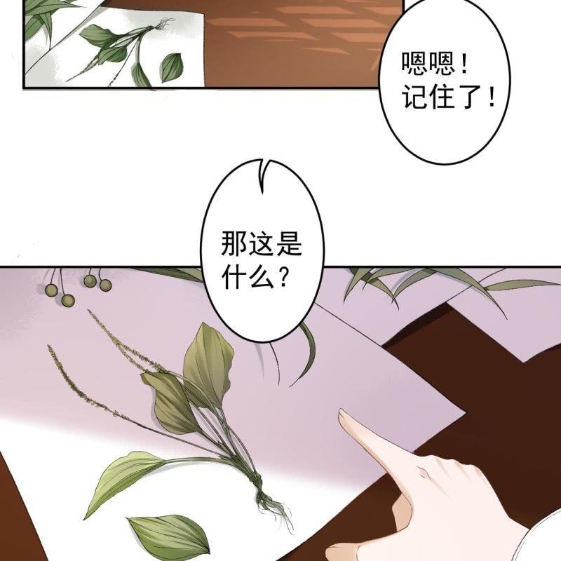 傲娇王爷太难追韩漫全集-第160话 辨认药草无删减无遮挡章节图片 