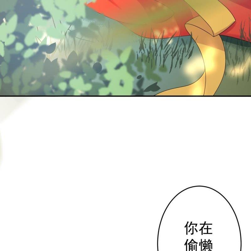 傲娇王爷太难追韩漫全集-第43话 昭王慕容潇无删减无遮挡章节图片 