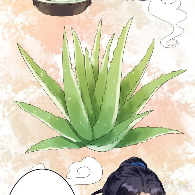 傲娇王爷太难追韩漫全集-第62话 高能芦荟胶无删减无遮挡章节图片 