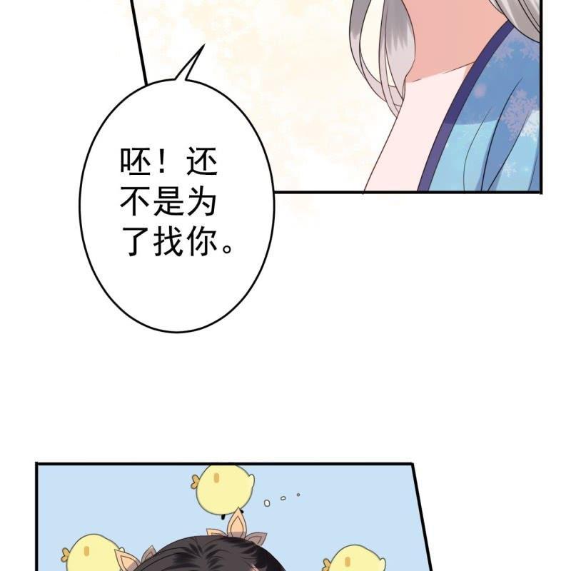 傲娇王爷太难追韩漫全集-第66话 迷途皇城（一）无删减无遮挡章节图片 