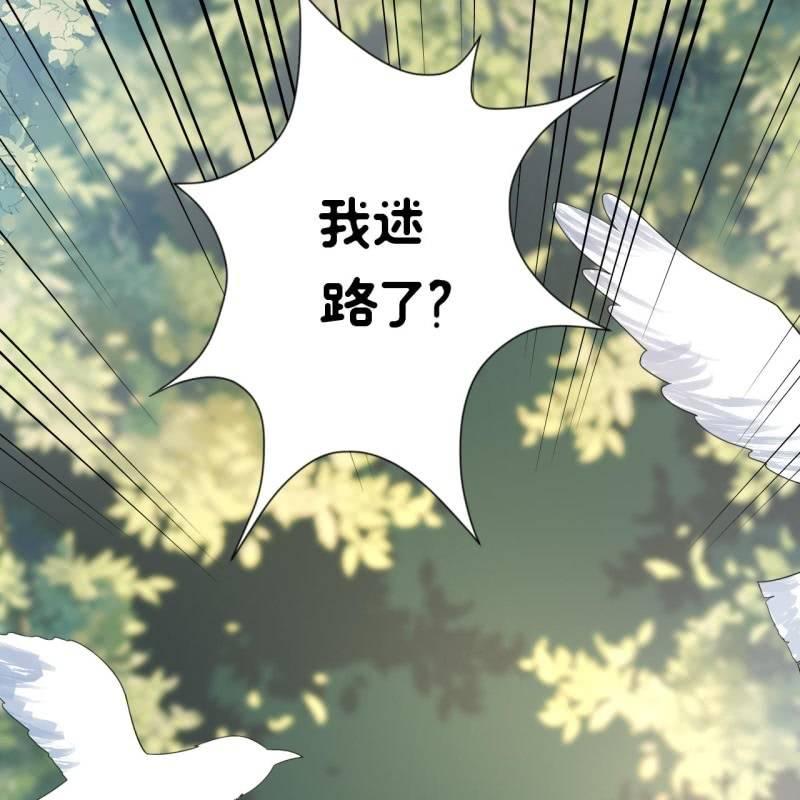 傲娇王爷太难追韩漫全集-第66话 迷途皇城（一）无删减无遮挡章节图片 
