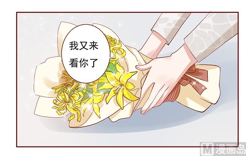 霸道首席爱上我韩漫全集-第191话 我又来看你了无删减无遮挡章节图片 
