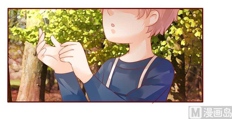 霸道首席爱上我韩漫全集-第35话 淀园花谷无删减无遮挡章节图片 