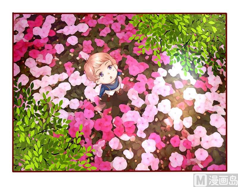 霸道首席爱上我韩漫全集-第35话 淀园花谷无删减无遮挡章节图片 