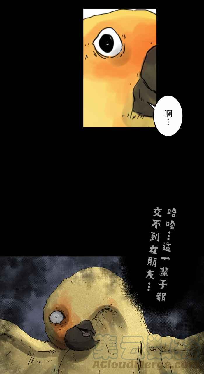 百鬼夜行志・一夜怪谈之卷韩漫全集-[第668话] 鹦鹉无删减无遮挡章节图片 