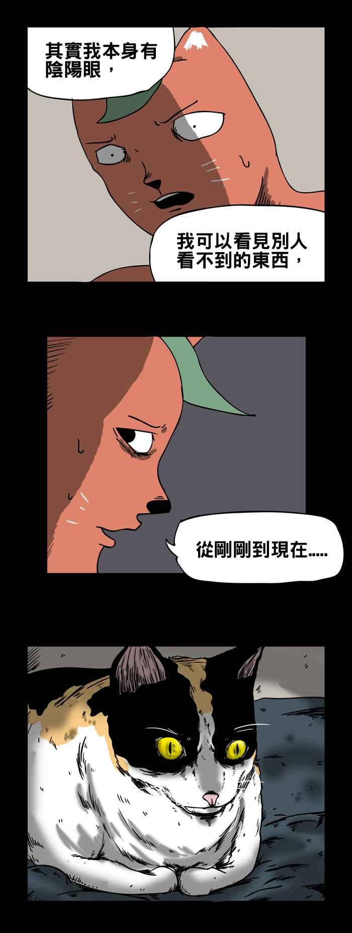 百鬼夜行志・一夜怪谈之卷韩漫全集-[第75话] 来历不明的猫无删减无遮挡章节图片 