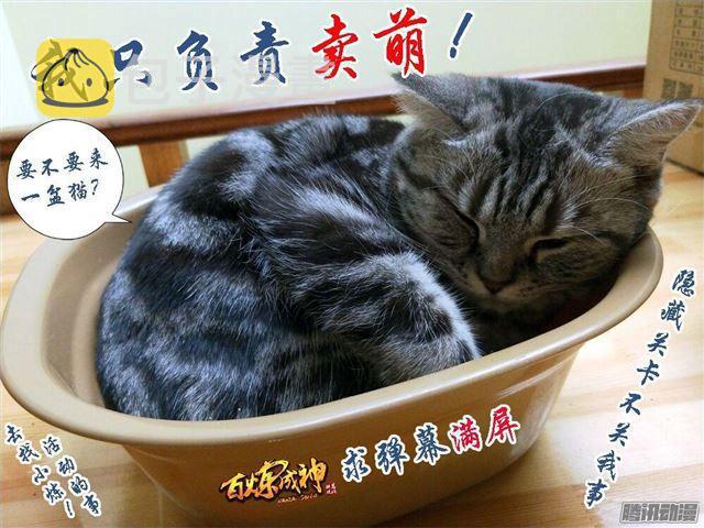 百炼成神韩漫全集-第168话 狮子搏兔无删减无遮挡章节图片 