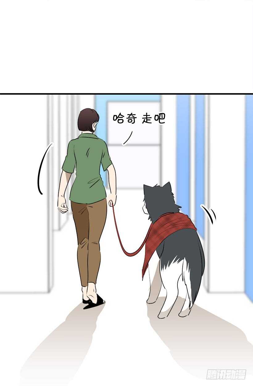 被废弃的皇妃韩漫全集-赴宴无删减无遮挡章节图片 