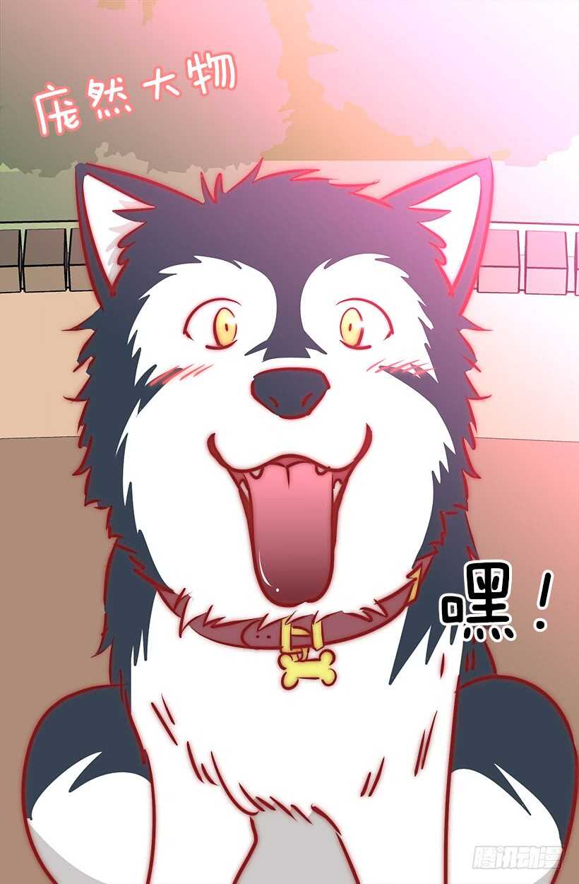 被废弃的皇妃韩漫全集-再试吧无删减无遮挡章节图片 