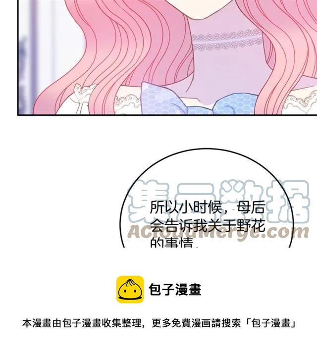 被诅咒的婚约韩漫全集-第31话 圣国魔法师无删减无遮挡章节图片 