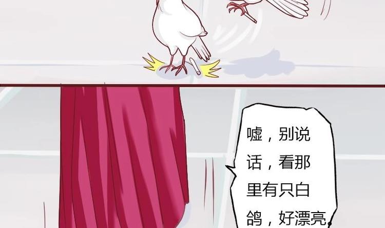 本宫有点方韩漫全集-第009话 断袖情与少女心 2无删减无遮挡章节图片 