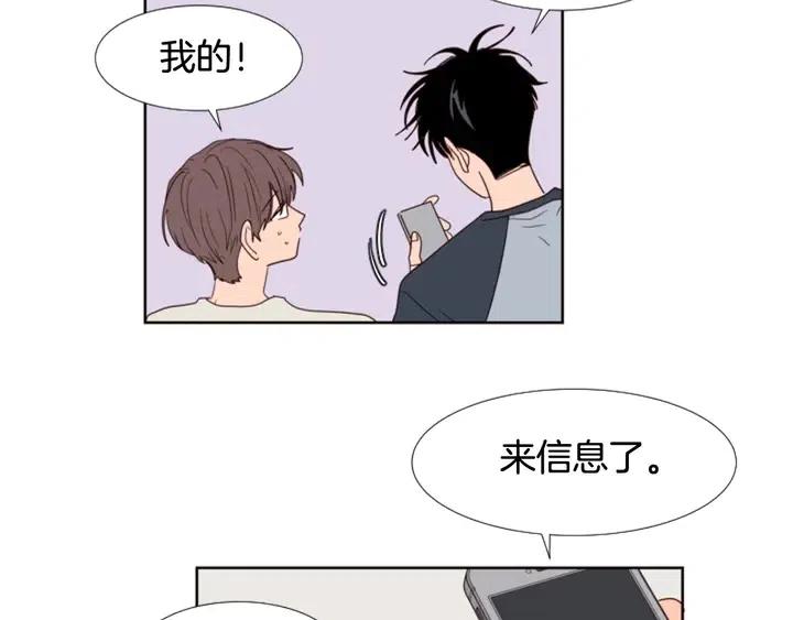 别人家的漫画韩漫全集-第115话 勉强住在一起无删减无遮挡章节图片 