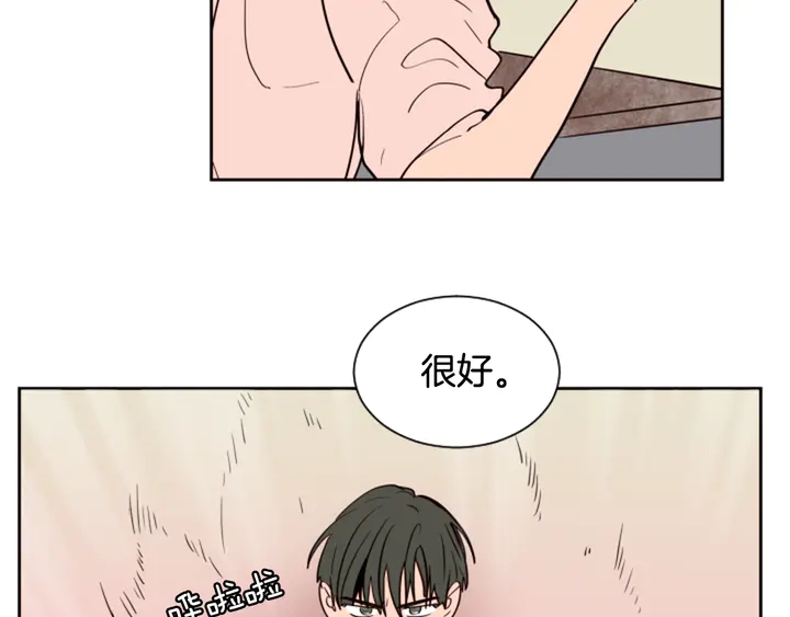 别人家的漫画韩漫全集-第43话 听你的无删减无遮挡章节图片 