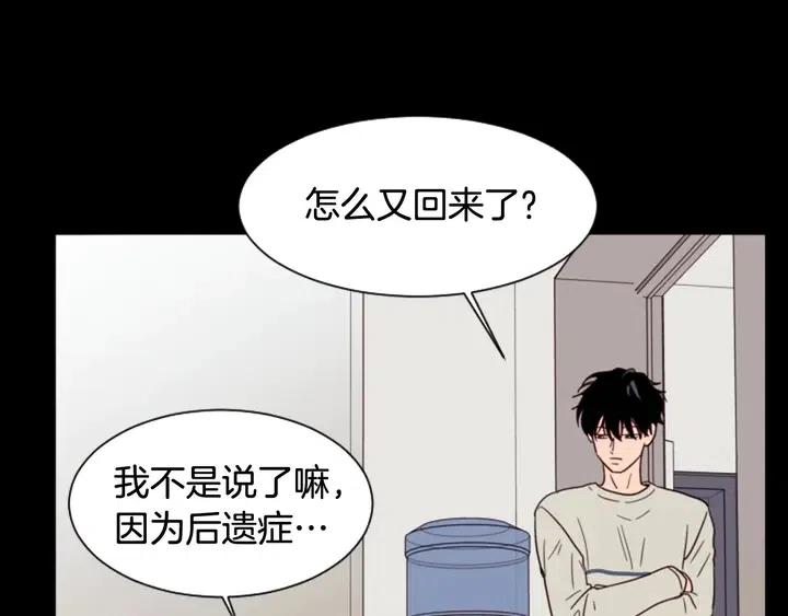 别人家的漫画韩漫全集-第87话 我们之间的秘密无删减无遮挡章节图片 