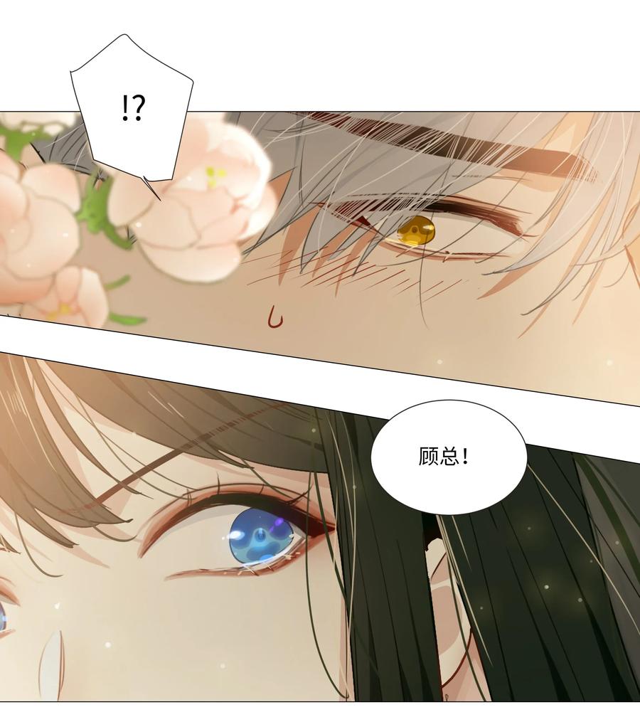 并不是我想当秘书韩漫全集-023 顾总，我要上了？无删减无遮挡章节图片 