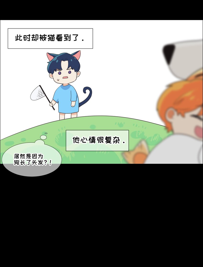 并不是我想当秘书韩漫全集-番 外无删减无遮挡章节图片 