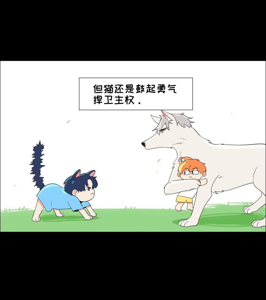 并不是我想当秘书韩漫全集-番 外无删减无遮挡章节图片 