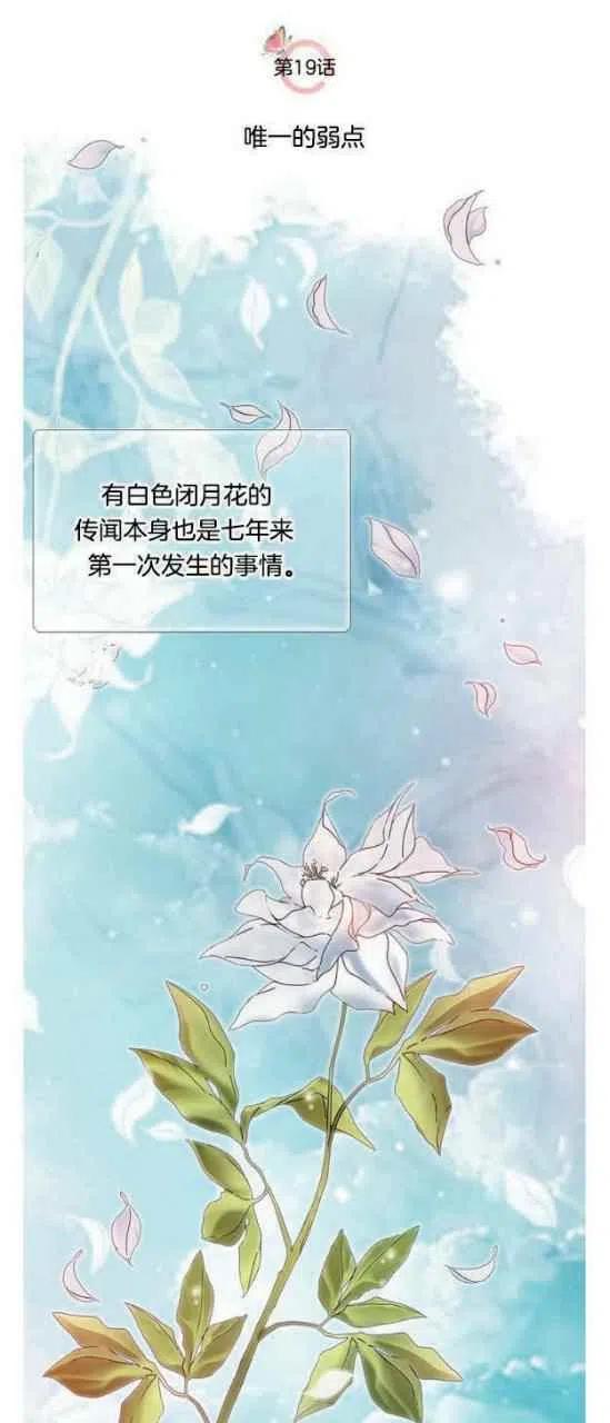 闭月花·野兽之花韩漫全集-第19话无删减无遮挡章节图片 