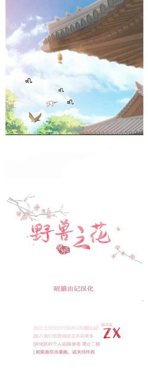 闭月花·野兽之花韩漫全集-第24话无删减无遮挡章节图片 