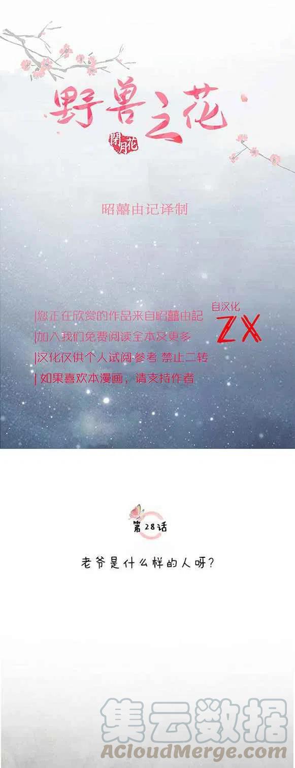 闭月花·野兽之花韩漫全集-第28话无删减无遮挡章节图片 