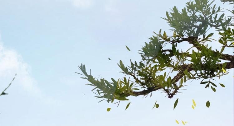 不识桃花只识君韩漫全集-第111话 他的温柔照顾无删减无遮挡章节图片 