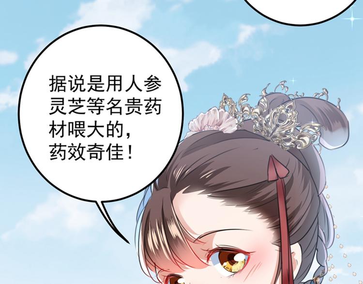 不识桃花只识君韩漫全集-第129话 他一定很宠你！无删减无遮挡章节图片 