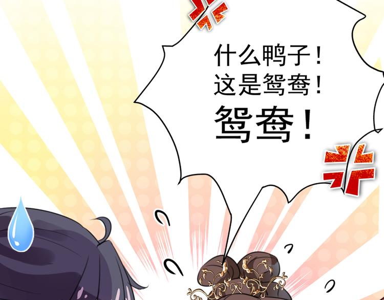 不识桃花只识君韩漫全集-第206话 鸭子浮绿水无删减无遮挡章节图片 