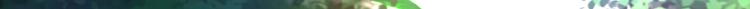不识桃花只识君韩漫全集-第307话 当年是他救了我？！无删减无遮挡章节图片 