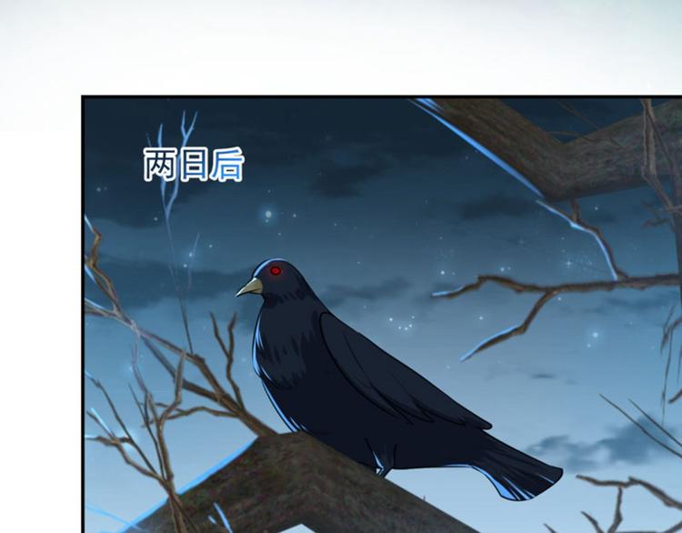 不识桃花只识君韩漫全集-第61话 沈秋不喜欢女人？!无删减无遮挡章节图片 