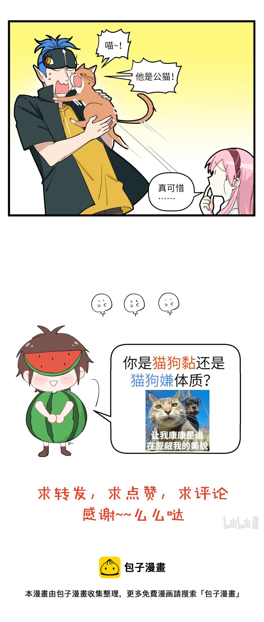 不小心韩漫全集-063 野猫太粘人了怎么办？无删减无遮挡章节图片 